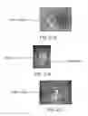 Fig. 54 - SEALABLE TRAY SYSTEM AND METHODS OF USING SAME