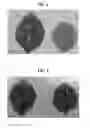 Fig. 02 - HIGHLY CONCENTRATED HIGH-FUNCTIONAL LIME BORDEAUX LIQUID AND METHOD FOR PREPARING SAME