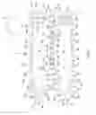 Fig. 06 - Sausage cutting apparatus