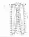 Fig. 07 - Sausage cutting apparatus