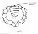 Fig. 18 - Sensor-guided automated method and system for processing crustaceans