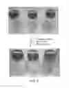 Fig. 04 - METHODS AND USES FOR KERATIN HYDROLYSIS