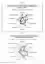 Fig. 07 - STEVIA COMPOSITION