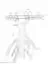 Fig. 01 - HERB STRIPPER
