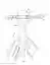 Fig. 06 - HERB STRIPPER