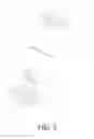 Fig. 03 - Atomizing head, atomizer and electronic cigarette