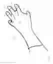 Fig. 02 - Garden glove