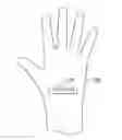 Fig. 01 - SMART PROTECTIVE GLOVES WITH SEALED COLORIMETRIC LAYER
