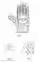 Fig. 02 - Glove with optimized safety markings