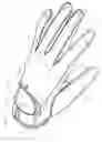 Fig. 02 - Glove palm cover