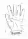 Fig. 06 - Glove palm cover