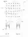Fig. 06 - Matrix for letters or patterns on fabric
