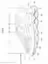 Fig. 03 - Sole structure for shoes and shoe with the sole structure
