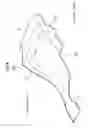 Fig. 05 - Sole structure for shoes and shoe with the sole structure