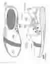 Fig. 16 - Athletic shoe with performance features