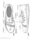 Fig. 20 - Athletic shoe with performance features