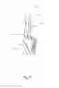 Fig. 10 - DUAL BRUSH