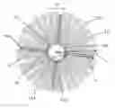 Fig. 01 - Rotatable brush for animals