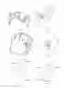 Fig. 09 - Upright vacuum cleaner