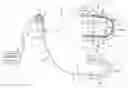 Fig. 01 - Flexible tube insertion apparatus