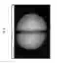 Fig. 09 - Optical sensors, systems and methods of using same
