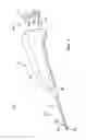 Fig. 02 - Biopsy device tissue sample holder with removable tray