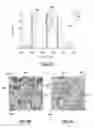 Fig. 06 - Biopsy device for coherent Raman imaging