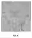 Fig. 07 - Biopsy device for coherent Raman imaging