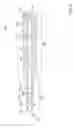 Fig. 06 - Biopsy needle for accessing peripheral lung nodules