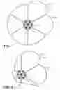 Fig. 08 - Multi-lobe balloon for cryoablation