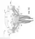 Fig. 07 - MATRIX RING FOR TOOTH RESTORATION