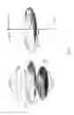 Fig. 09 - Method of coloring multi-layered pre-sintered dental restoration