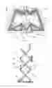Fig. 04 - Implanted passive engineered mechanisms and methods for their use and manufacture