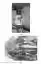 Fig. 22 - Implanted passive engineered mechanisms and methods for their use and manufacture