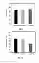 Fig. 06 - Composition for preventing or treating ischemic diseases, containing liposomes in which VEGF-derived peptides are supported