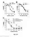 Fig. 06 - DUAL LOADED LIPOSOMAL NANOPARTICLES