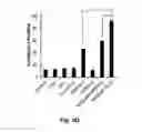 Fig. 07 - DUAL LOADED LIPOSOMAL NANOPARTICLES