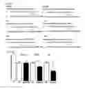 Fig. 09 - Methods of modulating miRNA levels and compositions for use in the same