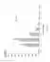Fig. 04 - PYRUVATE COMPOUNDS FOR TREATMENT OF PERIPHERAL NEUROPATHY