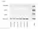 Fig. 02 - Compounds targeting proteins, compositions, methods, and uses thereof