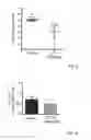 Fig. 04 - Method for treating NASH accompanied by fibrosis using Cl-IB-MECA