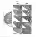 Fig. 05 - Composition for treating inflammatory disease induced by hyperimmune response