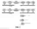 Fig. 02 - (EN) POTENTIATED T-CELL MODULATOR ABLE TO MODULATE IMMUNE RESPONSE, METHOD FOR EXTRACTING, TESTING AND COUNTING A DIALYSABLE LEUCOCYTE EXTRACT FROM SHARK SPLEEN TO PRODUCE SAME, AND THERAPEUTIC USE THEREOF