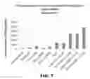 Fig. 08 - (EN) POTENTIATED T-CELL MODULATOR ABLE TO MODULATE IMMUNE RESPONSE, METHOD FOR EXTRACTING, TESTING AND COUNTING A DIALYSABLE LEUCOCYTE EXTRACT FROM SHARK SPLEEN TO PRODUCE SAME, AND THERAPEUTIC USE THEREOF