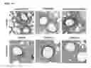 Fig. 02 - Microbial consortium and uses thereof