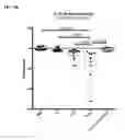 Fig. 06 - Microbial consortium and uses thereof