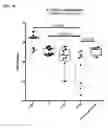 Fig. 07 - Microbial consortium and uses thereof