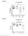 Fig. 09 - Microbial consortium and uses thereof
