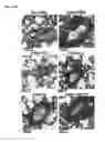 Fig. 21 - Microbial consortium and uses thereof
