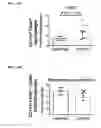 Fig. 29 - Microbial consortium and uses thereof